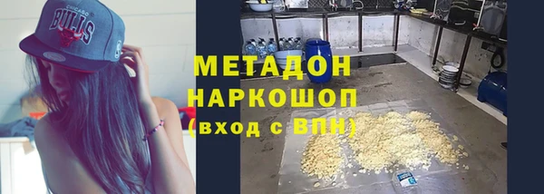 прущие грибы Волоколамск