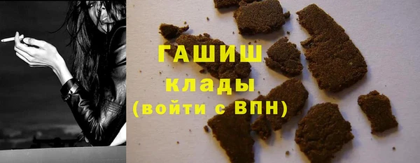 прущие грибы Волоколамск