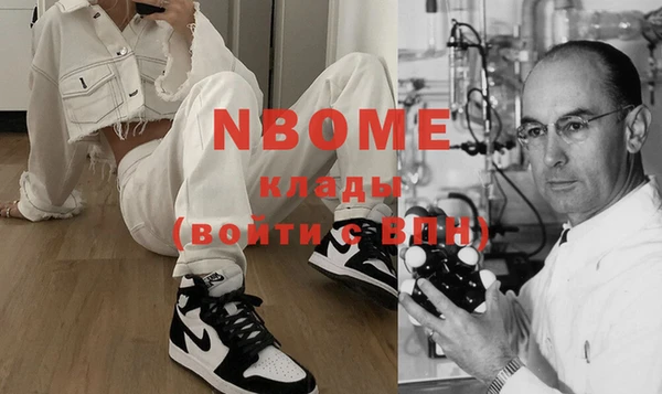 прущие грибы Волоколамск