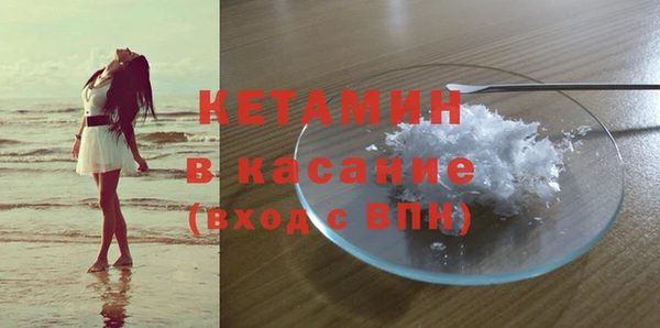 прущие грибы Волоколамск