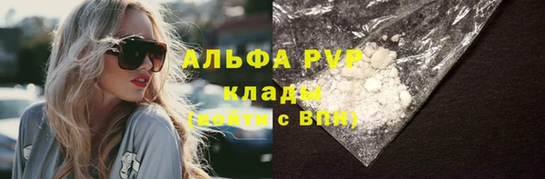 прущие грибы Волоколамск