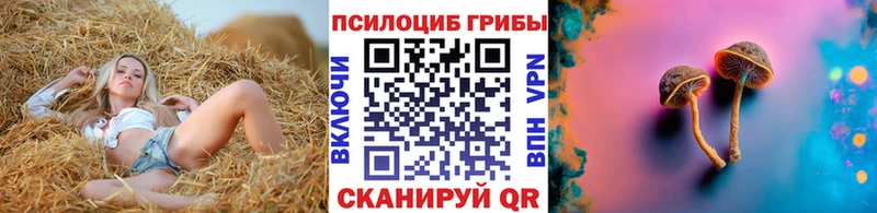 Галлюциногенные грибы Psilocybe  закладка  блэк спрут ссылки  Елизово 